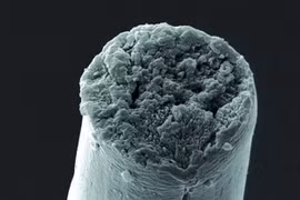 Hình phóng to một sợi tơ. Ảnh minh họa. (Nguồn: scientificamerican.com)