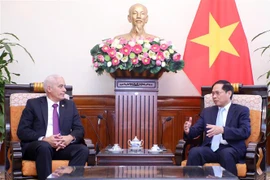 Bộ trưởng Bộ Ngoại giao Bùi Thanh Sơn tiếp Thứ trưởng Thứ nhất Bộ Ngoại giao Cuba Gerardo Penalver Portal. (Ảnh: Lâm Khánh/TTXVN)