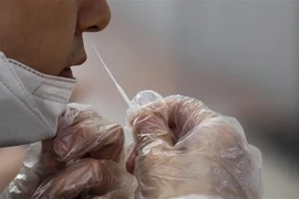 Người dân lấy mẫu xét nghiệm COVID-19 tại Seoul, Hàn Quốc. (Ảnh: THX/TTXVN)