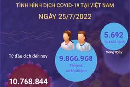 [Infographics] Cập nhật tình hình dịch COVID-19 tại Việt Nam ngày 25/7