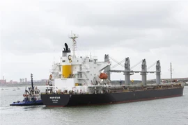 Tàu Navi Star treo cờ Panama chở 33.000 tấn ngũ cốc của Ukraine cập cảng Foynes ở County Limerick, Ireland ngày 20/8/2022. (Ảnh: AFP/TTXVN)