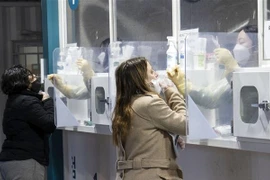 Nhân viên y tế lấy mẫu xét nghiệm COVID-19 cho người dân tại Seoul, Hàn Quốc ngày 16/2/2022. (Ảnh: THX/TTXVN)