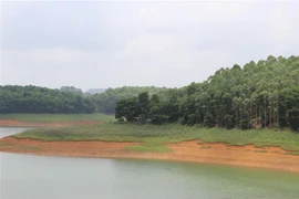 (Ảnh minh họa: Tiến Khánh/TTXVN)