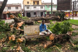 Cây cối bị gió quật đổ sau khi bão Batsirai đổ bộ vào thành phố Antsirabe, Madagascar ngày 6/2/2022. (Ảnh: AFP/TTXVN)