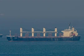Tàu Rubymar chở ngũ cốc của Ukraine di chuyển qua Eo biển Bosphorus, ngoài khơi Kumkoy, phía Bắc Istanbul (Thổ Nhĩ Kỳ) trên Biển Đen ngày 2/11/2022. (Ảnh: AFP/TTXVN)