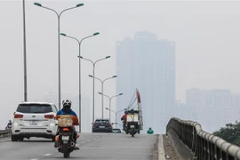 Ảnh minh họa. (Nguồn: TTXVN)