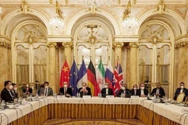 Các đại biểu tại vòng đàm phán khôi phục thỏa thuận hạt nhân Iran ở Vienna, Áo ngày 27/12/2021. (Ảnh: AFP/TTXVN)