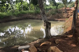 Hiện trường vụ 3 cháu bé đuối nước thương tâm. (Ảnh: Đậu Tất Thành/TTXVN)