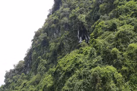 Chùa nằm trong hang ở lưng chừng núi Thâm Then, vùng bán ngập hồ Thác Bà. (Ảnh: Đức Tưởng/TTXVN)