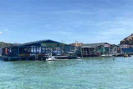 Tại khu vực đảo Hòn Khô Lớn có tám nhà hàng bè nổi hoạt động tự phát. (Ảnh: Tường Quân/TTXVN)
