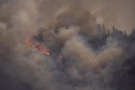 Khói lửa bốc lên từ đám cháy rừng ở bang California, Mỹ ngày 2/8/2022. (Ảnh: AFP/TTXVN)