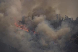 Khói lửa bốc lên từ đám cháy rừng ở bang California, Mỹ ngày 2/8/2022. (Ảnh: AFP/TTXVN)