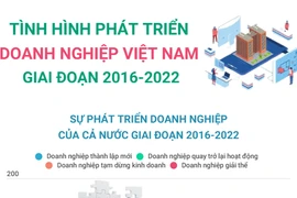Tình hình phát triển doanh nghiệp Việt Nam giai đoạn 2016-2022