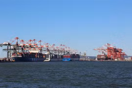 Cảng container hàng hóa ở Bayonne, New Jersey, Mỹ. (Ảnh: THX/TTXVN)
