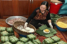 (Ảnh: Lâm Khánh/TTXVN)