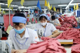 Các doanh nghiệp dân doanh thuộc nhóm ít hiểu biết về CPTPP nhất. (Ảnh: Phạm Kiên/TTXVN)