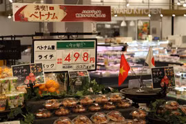 Quầy bày bán vải thiều Việt Nam tại siêu thị AEON Nhật Bản. (Ảnh: Đào Thanh Tùng/TTXVN)