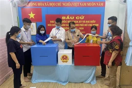 Công tác kiểm phiếu tại một tổ bầu cử ở Quận 4 được thực hiện dưới sự giám sát chặt chẽ theo đúng pháp luật. (Ảnh: TTXVN phát)
