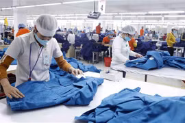 Một dây chuyền may hàng xuất khẩu. (Ảnh: Trần Việt/TTXVN)