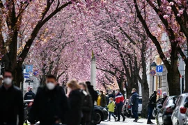 Người dân đeo khẩu trang phòng dịch COVID-19 tại Bonn, miền Tây nước Đức. (Ảnh: THX/TTXVN)