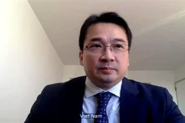 Đại sứ Phạm Hải Anh, Phó trưởng Phái đoàn đại diện thường trực Việt Nam tại LHQ. (Ảnh: Hữu Thanh/TTXVN)