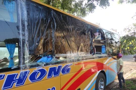 Ảnh chỉ mang tính minh họa. (Nguồn: TTXVN)