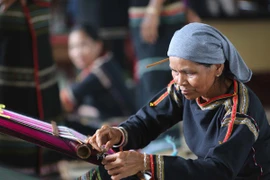 Chương trình diễn ra từ ngày 19-23/4 tại Hà Nội. (Ảnh minh họa: TTXVN)