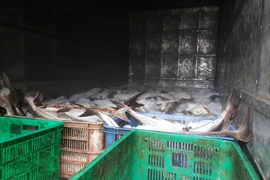 Hiện tượng cá chết hàng loạt trên sông Chà Và từng xảy ra hồi cuối năm 2016. (Ảnh: Hoàng Nhị/TTXVN)