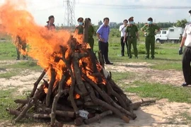 Cơ quan chức năng tiến hành tiêu hủy tang vật. (Ảnh: Huyền Trang/TTXVN)