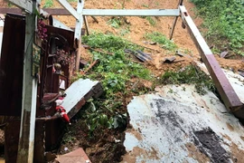 Ảnh minh họa. (Nguồn: TTXVN)