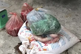 Tang vật một vụ vận chuyển nội tạng động vật không đảm bảo. (Nguồn: TTXVN)