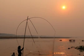 Một góc sông Mekong. (Ảnh: Phạm Kiên/TTXVN)
