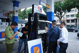 Ảnh minh họa. (Nguồn: TTXVN)