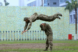 (Ảnh: An Đăng/TTXVN)