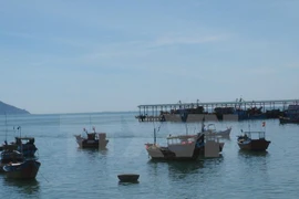 Ảnh minh họa. (Nguồn: TTXVN)