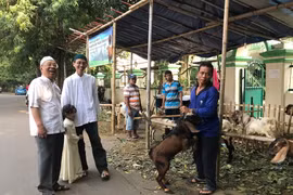 Những con dê được buộc ngay trên vỉa hè chờ lễ hiến sinh. (Ảnh: Đỗ Quyên/Vietnam+)