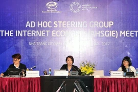 Họp Nhóm Ad Hoc về kinh tế mạng (AHSGIE). (Ảnh: Nguyễn Khang/TTXVN)