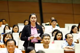 Đại biểu Quốc hội tỉnh Tuyên Quang Ma Thị Thúy chất vấn thành viên Chính phủ. (Ảnh: An Đăng/TTXVN)
