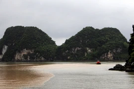 Nước Vịnh Hạ Long chuyển sang màu đỏ đục sau cơn mưa sáng 25/8. (Ảnh: Văn Đức/TTXVN)