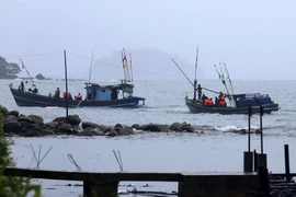 Binh sỹ và nhân viên cứu hộ tìm kiếm người mất tích sau vụ rơi máy bay quân sự tại Laung Lone, Dawei, Myanmar ngày 9/6. (Nguồn: EPA/TTXVN)