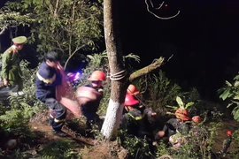 Quốc lộ 4D - nơi xảy ra vụ tai nạn.