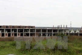 Ảnh minh họa. (Nguồn: TTXVN)