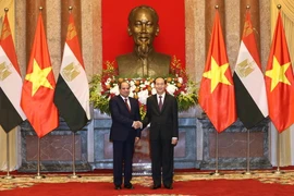 (Ảnh: Nhan Sáng/TTXVN)