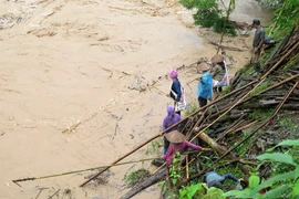 Ảnh minh họa. (Nguồn: TTXVN)