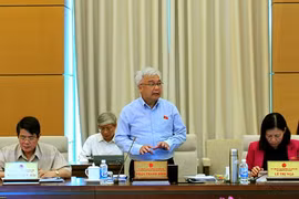 Chủ nhiệm Ủy ban Văn hóa, Giáo dục, Thanh niên, Thiếu niên và Nhi đồng của Quốc hội Phan Thanh Bình phát biểu. (Ảnh: Nguyễn Dân/TTXVN)