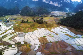 (Ảnh: Trọng Đạt/TTXVN)