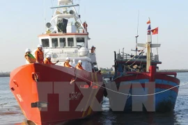 Ảnh minh họa. (Nguồn: TTXVN)