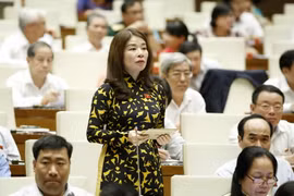 Đại biểu Quốc hội tỉnh Lào Cai Lê Thu Hà phát biểu ý kiến. (Ảnh: Văn Điệp/TTXVN)