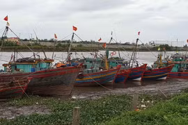 Các tàu thuyền neo đậu tránh trú bão tại khu vực cảng Diêm Điền, huyện Thái Thụy, Thái Bình. (Ảnh: Công Hải/TTXVN)