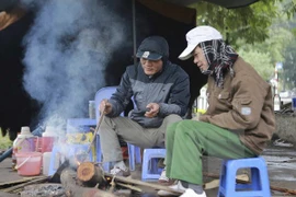 Ảnh minh họa. (Nguồn: TTXVN)